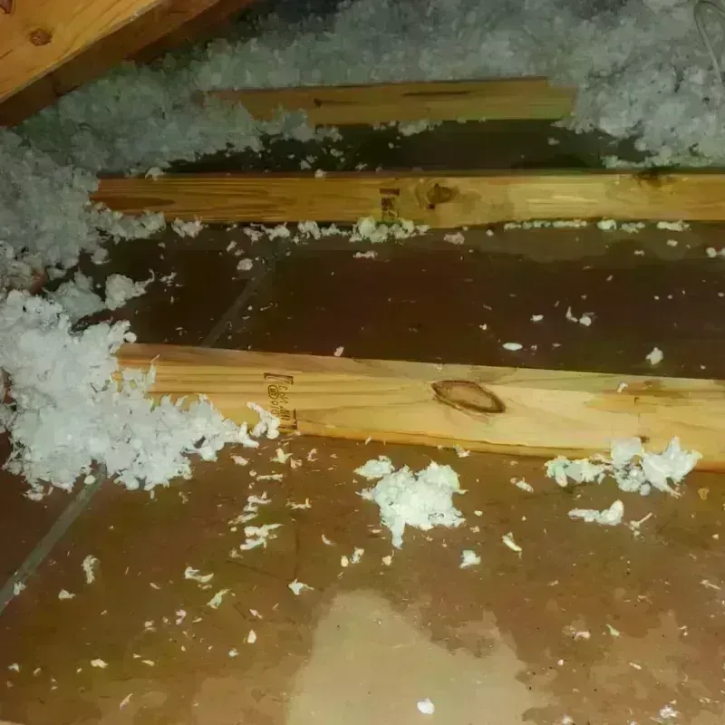 Attic Water Damage in Sheridan County, WY