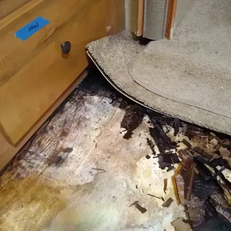 Wood Floor Water Damage in Sheridan County, WY